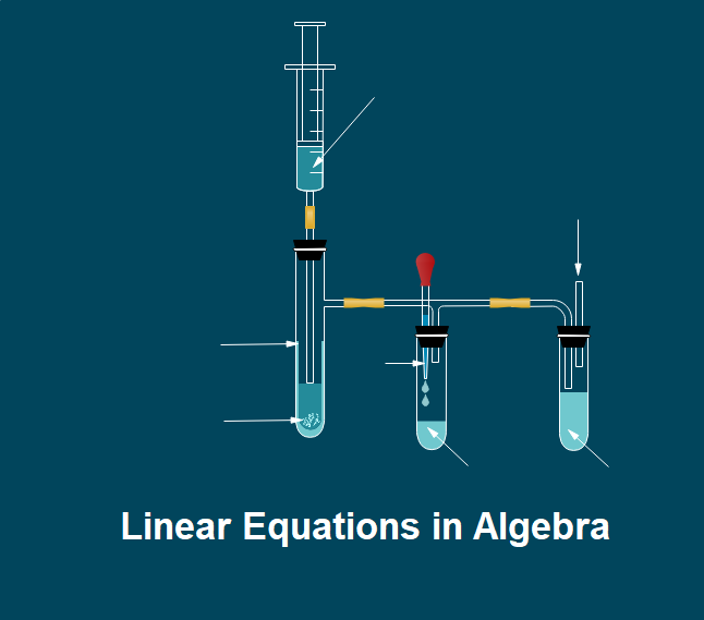 Linear Equations In Algebra